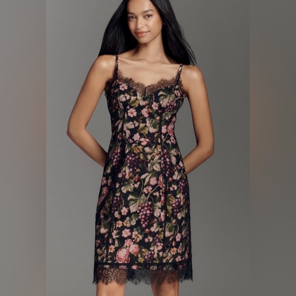 Anthropologie Maeve Floral Fruit Mesh Slip Dress Medium NWT